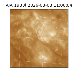 saia - 2026-03-03T11:00:04.835000