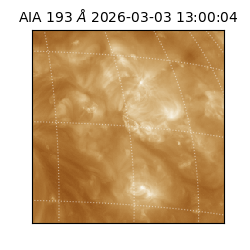 saia - 2026-03-03T13:00:04.835000