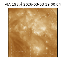 saia - 2026-03-03T19:00:04.843000