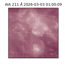 saia - 2026-03-03T01:00:09.633000