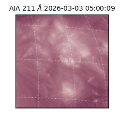 saia - 2026-03-03T05:00:09.632000