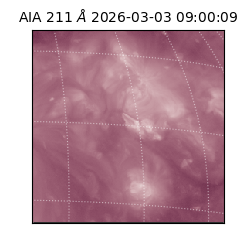 saia - 2026-03-03T09:00:09.625000