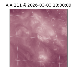 saia - 2026-03-03T13:00:09.618000