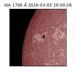 saia - 2026-03-03T19:00:28.711000