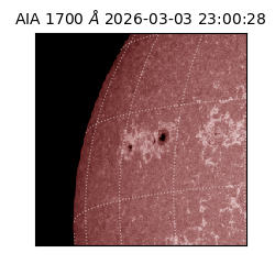 saia - 2026-03-03T23:00:28.722000