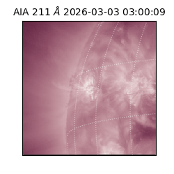 saia - 2026-03-03T03:00:09.631000