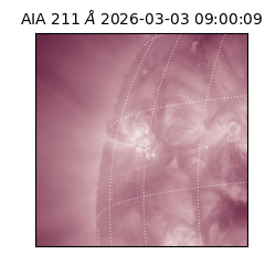 saia - 2026-03-03T09:00:09.625000