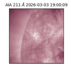 saia - 2026-03-03T19:00:09.626000