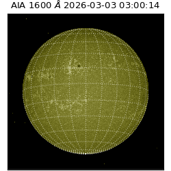 saia - 2026-03-03T03:00:14.125000