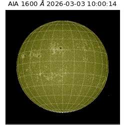 saia - 2026-03-03T10:00:14.125000