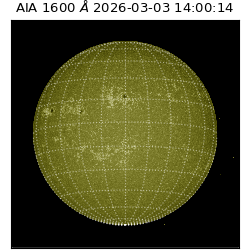 saia - 2026-03-03T14:00:14.125000