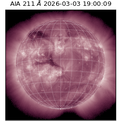 saia - 2026-03-03T19:00:09.626000