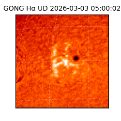 gong - 2026-03-03T05:00:02