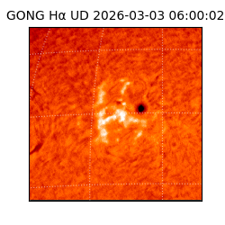 gong - 2026-03-03T06:00:02