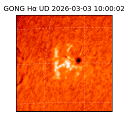 gong - 2026-03-03T10:00:02