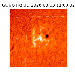 gong - 2026-03-03T11:00:02