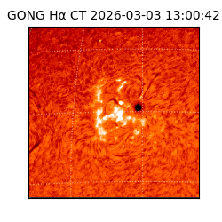 gong - 2026-03-03T13:00:42