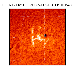 gong - 2026-03-03T16:00:42