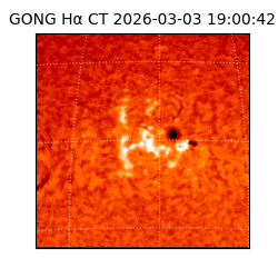 gong - 2026-03-03T19:00:42