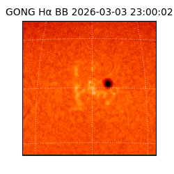 gong - 2026-03-03T23:00:02