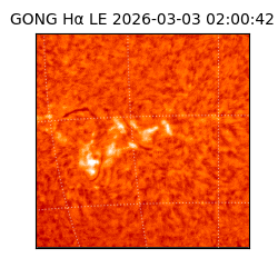 gong - 2026-03-03T02:00:42