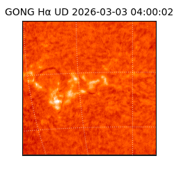 gong - 2026-03-03T04:00:02