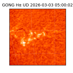 gong - 2026-03-03T05:00:02