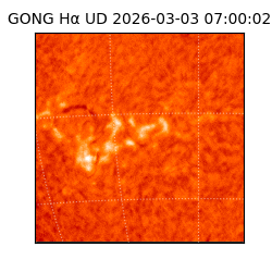 gong - 2026-03-03T07:00:02