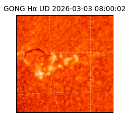 gong - 2026-03-03T08:00:02