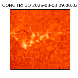 gong - 2026-03-03T09:00:02