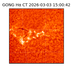 gong - 2026-03-03T15:00:42