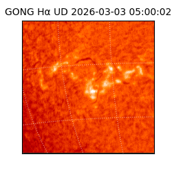 gong - 2026-03-03T05:00:02