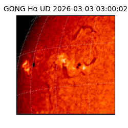 gong - 2026-03-03T03:00:02