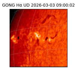 gong - 2026-03-03T09:00:02