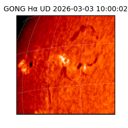 gong - 2026-03-03T10:00:02