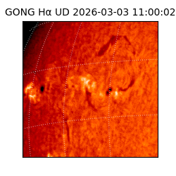 gong - 2026-03-03T11:00:02