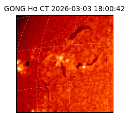 gong - 2026-03-03T18:00:42