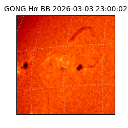 gong - 2026-03-03T23:00:02