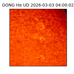 gong - 2026-03-03T04:00:02