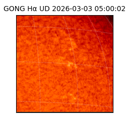 gong - 2026-03-03T05:00:02