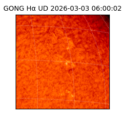 gong - 2026-03-03T06:00:02