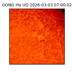 gong - 2026-03-03T07:00:02