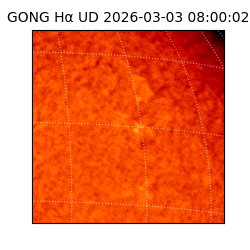 gong - 2026-03-03T08:00:02