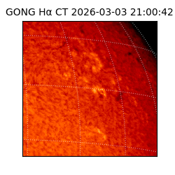 gong - 2026-03-03T21:00:42