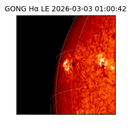 gong - 2026-03-03T01:00:42