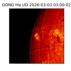 gong - 2026-03-03T03:00:02