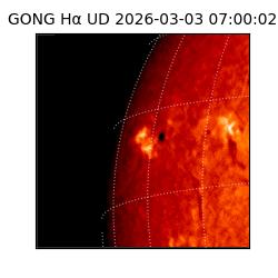 gong - 2026-03-03T07:00:02