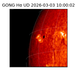 gong - 2026-03-03T10:00:02