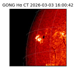 gong - 2026-03-03T16:00:42