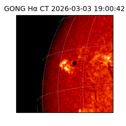 gong - 2026-03-03T19:00:42